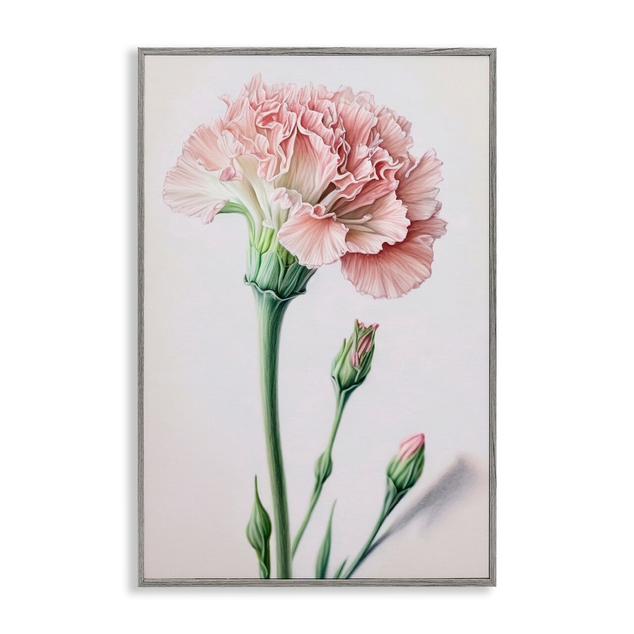 Stupell Industries Pale Carnation Budding Framed Giclee Wall Art Design by Incado